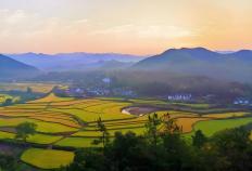 电竞比赛奖金丰厚，选手们激烈角逐