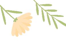 暑期關(guān)爱 | 清远妇联暑期關(guān)爱活动精(jīng)彩(cǎi)集锦