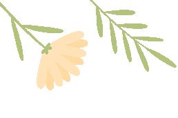 暑期關(guān)爱 | 清远妇联暑期關(guān)爱活动精(jīng)彩(cǎi)集锦