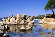 懂得(dé)经营分析的财务BP，最值钱