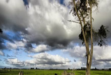 英冠比赛预测，比分预测