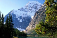 WNBA历史MVP次数排行：威尔逊4次居首，斯沃普斯3次次席